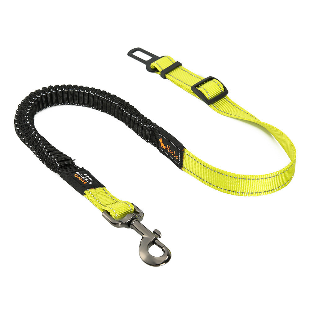RoadGuardian Seat Belt