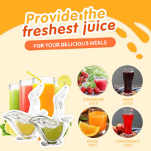 Load image into Gallery viewer, The LemonClip Juicer