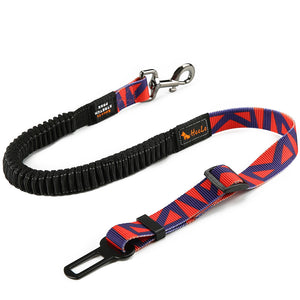 RoadGuardian Seat Belt