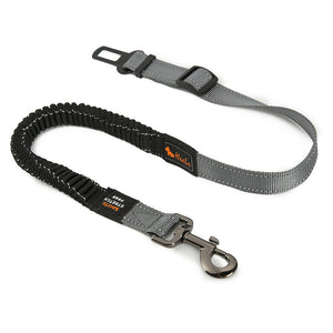 RoadGuardian Seat Belt
