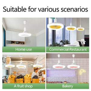 CoolLight Remote Fan