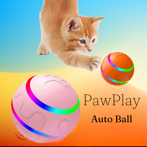 PawPlay Auto Ball