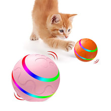 Load image into Gallery viewer, PawPlay Auto Ball - ThisIsWhyYourFly