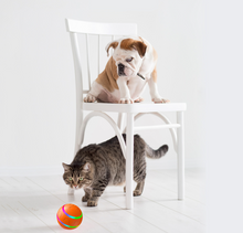Load image into Gallery viewer, PawPlay Auto Ball - ThisIsWhyYourFly