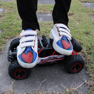 RockProwler RC Car