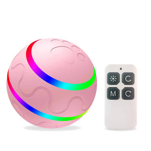 PawPlay Auto Ball - ThisIsWhyYourFly